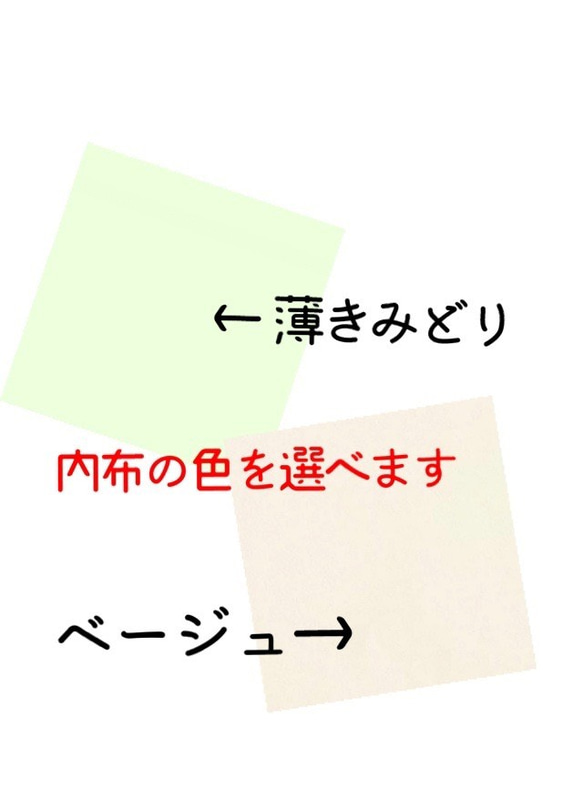 マスクカバー(立体仕立て)(地球の息吹き) 飛沫感染防止+肌荒れ防止　二重マスク 10枚目の画像