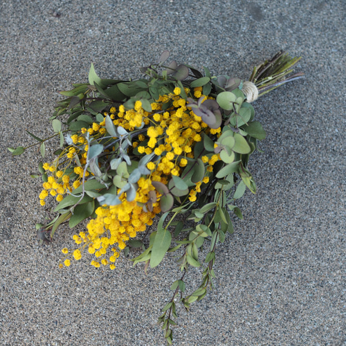 ミモザドライフラワー ミモザ ドライフラワー スワッグ20 ドライフラワー hanaasobi YUKI