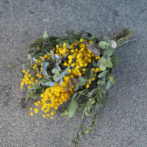 ミモザ ドライフラワー スワッグ20 ドライフラワー hanaasobi YUKI