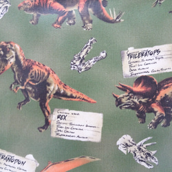雨の日にも!恐竜柄のラミネートバッグ～カーキ 6枚目の画像