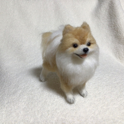 羊毛フェルト犬　ポメラニアン 羊毛フェルト オーダー 犬 ポメラニアン - メルカリ