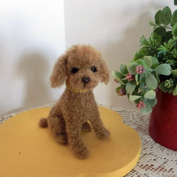 羊毛フェルト トイプードル座り姿 レッド 犬 羊毛フェルト Daisy 通販