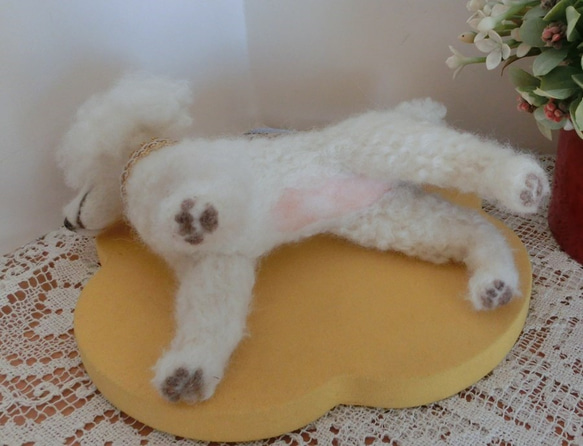 TT様オーダー品　羊毛フェルト　トイプードル白　犬 4枚目の画像