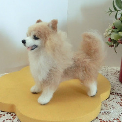 羊毛フェルト　ポメラニアン　立ち姿　　犬　イヌ 3枚目の画像