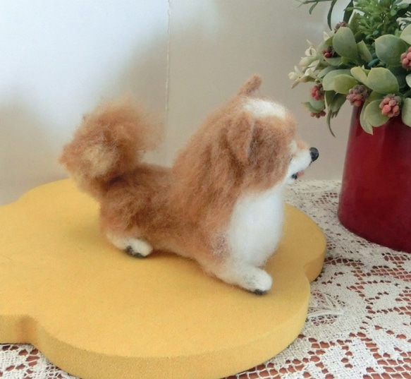羊毛フェルト　ポメラニアン　座り姿　　犬　イヌ 3枚目の画像