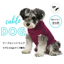 【秋冬】肌にやさしいケーブルニット ドッグウェア(小型犬用 Mサイズ) 全６色 1枚目の画像