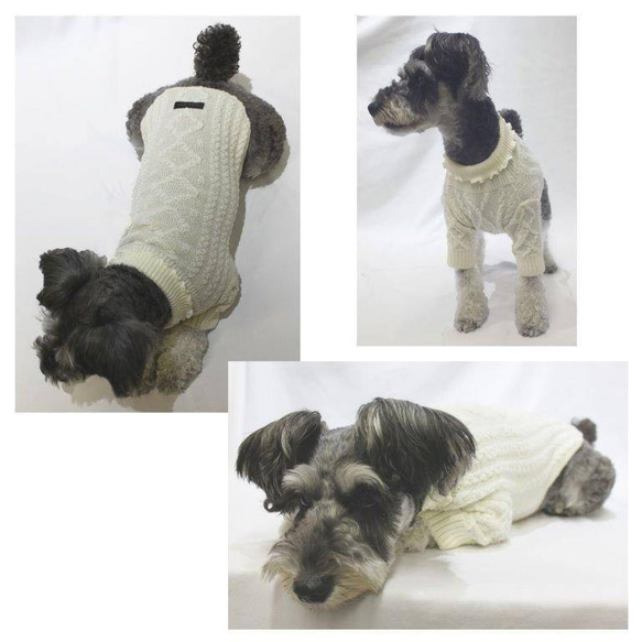 【秋冬】肌にやさしいアランパターンニット ドッグウェア(小型犬用 Lサイズ) 全６色 2枚目の画像