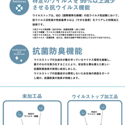 子供用立体マスク　ヒヤッとマスク　UVカット　ウォータークールクロス　接触冷感　夏マスク　リーフ柄　抗ウィルス　抗菌防臭 5枚目の画像