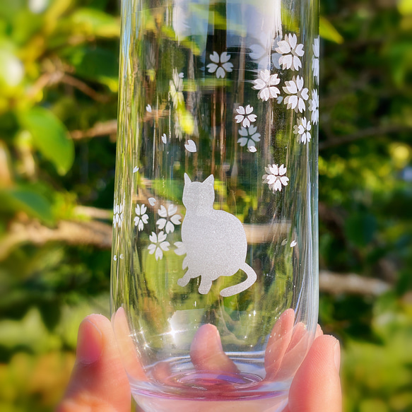 花弁 と 猫 の グラス タンブラー ロング 315ml 猫 桜 グラス タンブラー ネコ ねこ 4枚目の画像