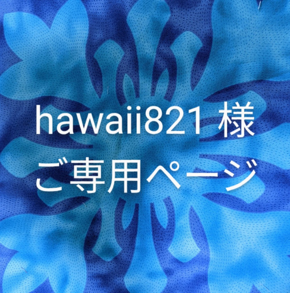 hawaii821 様ご専用ページ 1枚目の画像