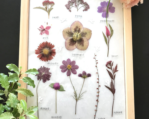 年代物　花　絵　本 立体刺繍の花と蝶々 フェルトと刺繍糸で作る、美しい24の風景