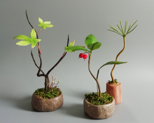 小型盆栽 2点セット 専用 sa-0370-02.jpg