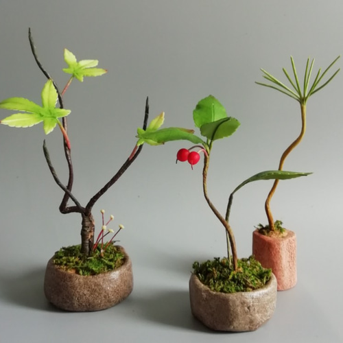盆栽鉢　時代盆栽鉢4こおまかせセット Amazon | Leaf88 盆栽鉢 10x10x6.5cm 3.5号 4号 グレー 植木鉢
