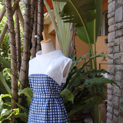 （M）藍色方格格紋兩色卷狀彩色度假前褶Dress連衣裙 第3張的照片