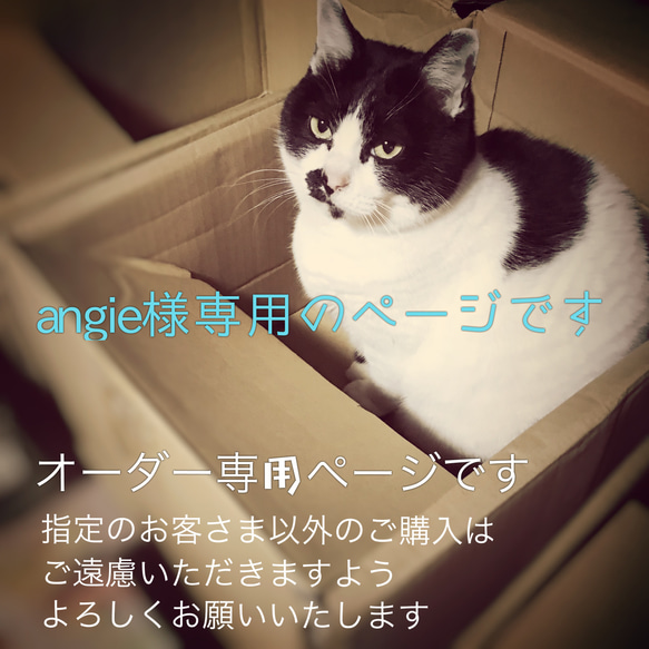 オーダー作品　angieさま専用 1枚目の画像