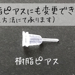 トロピカル♪フルーツピアス☆（イヤリングにも変更可） 3枚目の画像