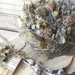 1_a6e6ce9814261ada9b68df6834ea