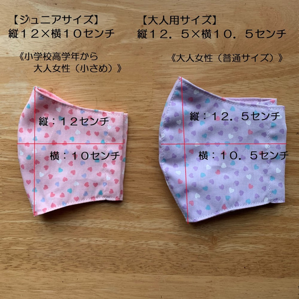 ★大人用立体夏マスク＊刺繍調フラワーが可愛い☆ネイビー＆ホワイト②★ 5枚目の画像