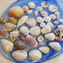 0_f0330ac74ec1d0cf4eb6807216a8