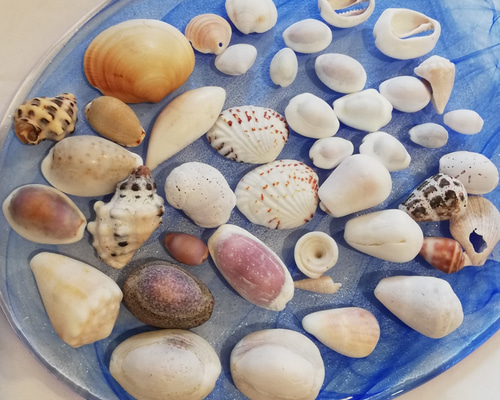 0_f0330ac74ec1d0cf4eb6807216a8