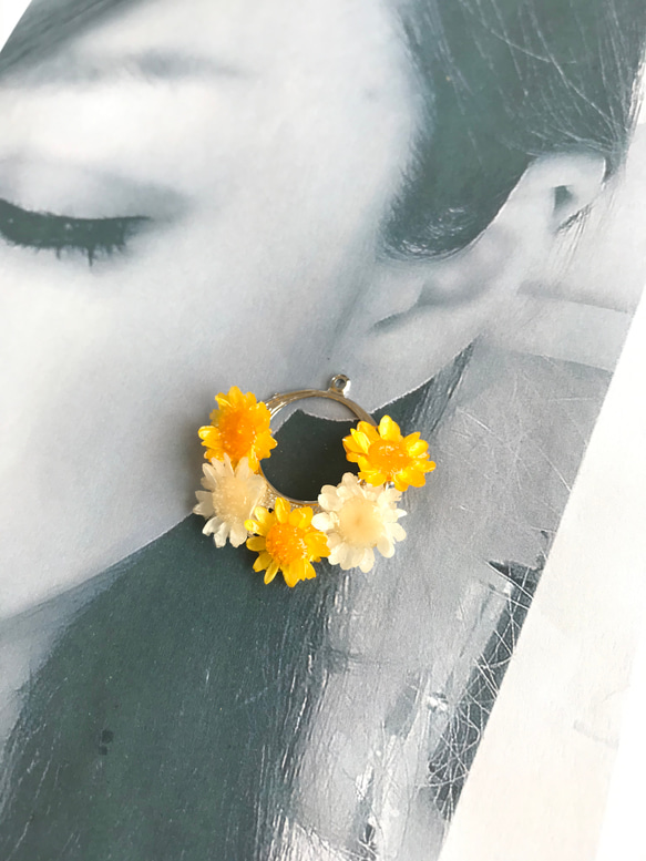 夏感じる⭐︎お花のフープピアスorイヤリング⭐︎本当のお花⭐︎イエロー×ホワイト 3枚目の画像
