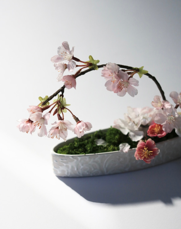お家でお花見　桜の小さなお庭 3枚目の画像