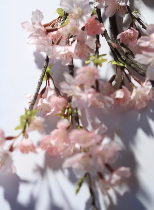 さくらさくらリース　お家でお花見　　はんなり桜ピンク 4枚目の画像