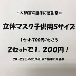 感謝祭！子供用立体マスクＳサイズを２セット選んで 1枚目の画像