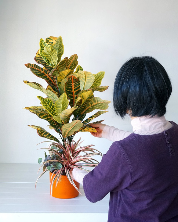 クロトン造花の鉢植え人工観葉植物 8枚目の画像