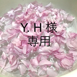 Y.H 様 専用 1枚目の画像