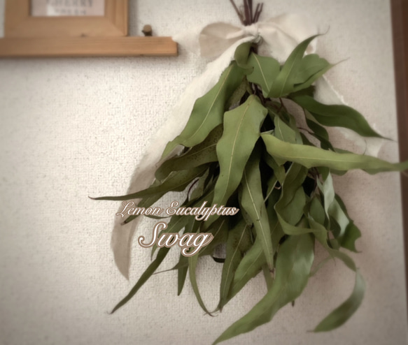 9/22までSALE数量限定】レモンユーカリのナチュラルスワッグ ドライ