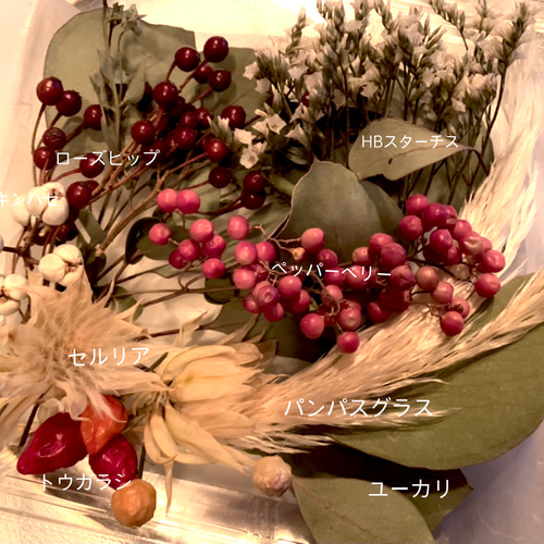 再再販】Autumn winterお任せドライフラワーセット Christmas