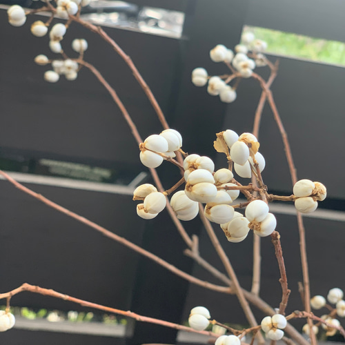 送料無料】ナンキンハゼのリース お正月飾り 新年 しめ飾り プレゼント