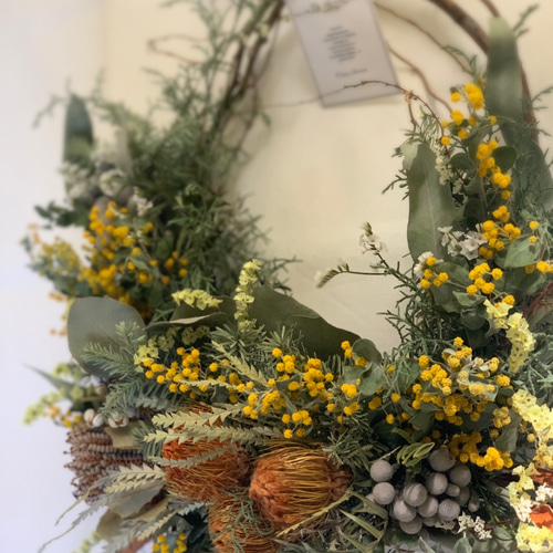 春爛漫　瀬戸内ミモザとアネモネを紡いだ春を呼ぶ　ハーフ　リース　ドライフラワー ◇ミモザのリース◇ミモザ◇ナチュラルリース◇リース◇フラワーリース