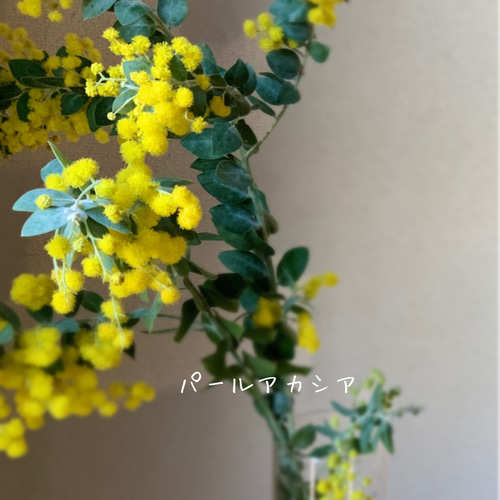 1点のみ】ミモザとワイルドフラワーのリース 春リースドライ