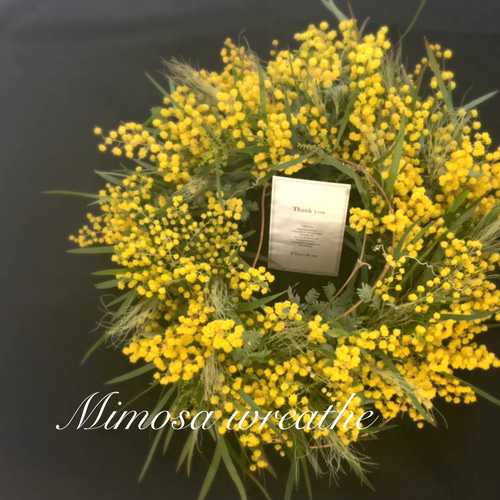 感謝SALE!もりもりミモザのリース　26㎝　銀葉アカシア　花かんざし　春 感謝SALE!もりもりミモザのリース 26㎝ 銀葉アカシア 花かんざし 春
