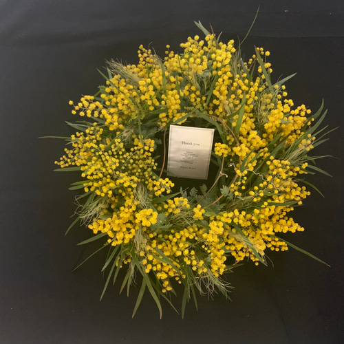 人気】ミモザリース 30cm アカシア ドライフラワー 卒業 入学 新居