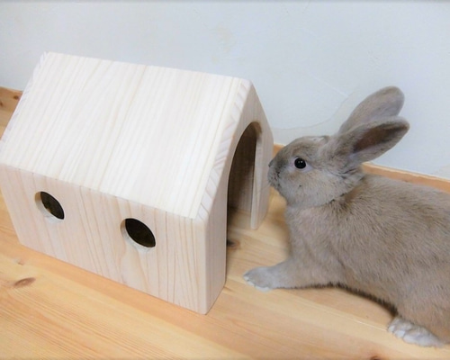 mochi 4個セット 【ウッド ハウス 家】 うさぎ用品 小動物用品 0_472f3d13e97a395cb8cda35d4a87