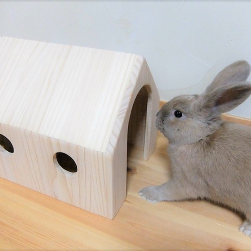 ◇送料無料◇ うさぎのおうち ペットハウス おもちゃ・ペット小物 