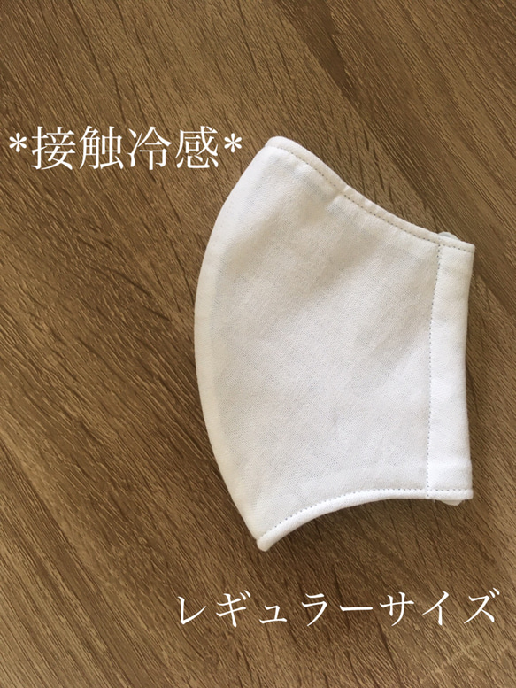 【冷】 接触冷感 ＊ レギュラーサイズ マスク ＊ ハンドメイド　夏用　夏マスク 1枚目の画像