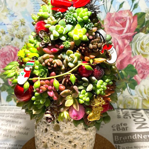 多肉植物 寄せ植え クリスマスツリー その他インテリア雑貨 feminine