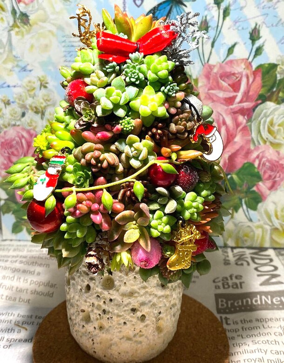 多肉植物 寄せ植え クリスマスツリー その他インテリア雑貨 feminine