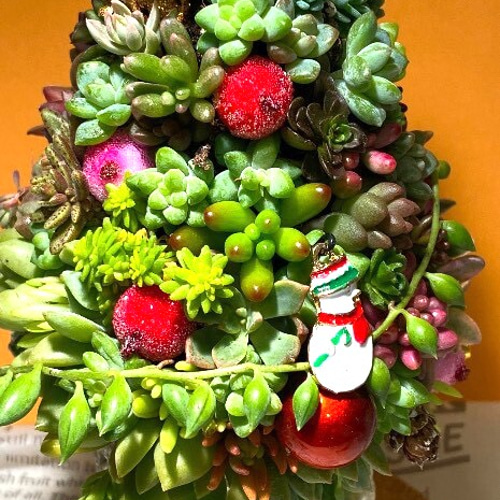 多肉植物 寄せ植え クリスマスツリー その他インテリア雑貨 feminine