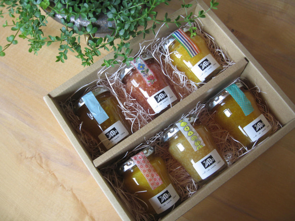 柑橘系　ソーダ割りの素　コンフィチュール　６本組　（化粧箱入りなので手土産や贈り物にご利用いただけます。） 2枚目の画像