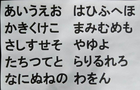 大きめサイズのお名前ワッペン　ひらがな　アルファベット　アイロン接着　入園入学　運動会 3枚目の画像