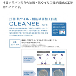 【冬用マスク】リバティタナローン×CLEANSE®︎生地　大人用　男女兼用 4枚目の画像