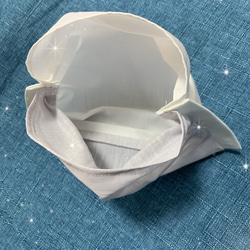 【夏マスク】アイスコットン×抗ウィルス機能性加工CLEANZE®︎マスク　Ｌサイズ　ポケット付き立体マスク 3枚目の画像
