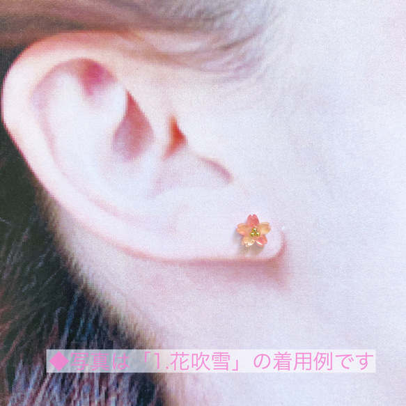 【再販】ぷちっと鮮やかな桜のピアス 4枚目の画像