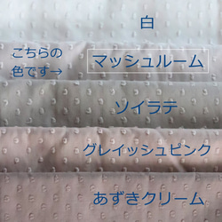 薄手布マスクM　ドットミニヨン　マッシュルーム【送料無料】晒（さらしマスク）CHECK&STRIPE 4枚目の画像