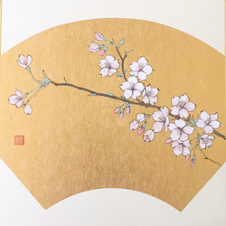 日本画色紙 桜 1枚目の画像